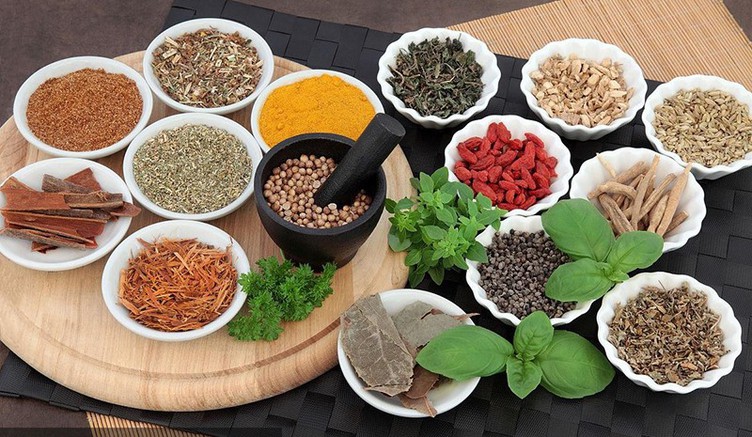 Ginseng Epimedium Ginseng Epimedium